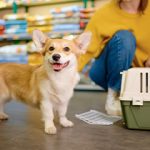 Fur and finance – Tax compliance in animal sales